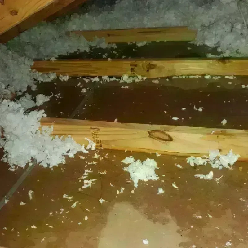 Attic Water Damage in Danville, PA