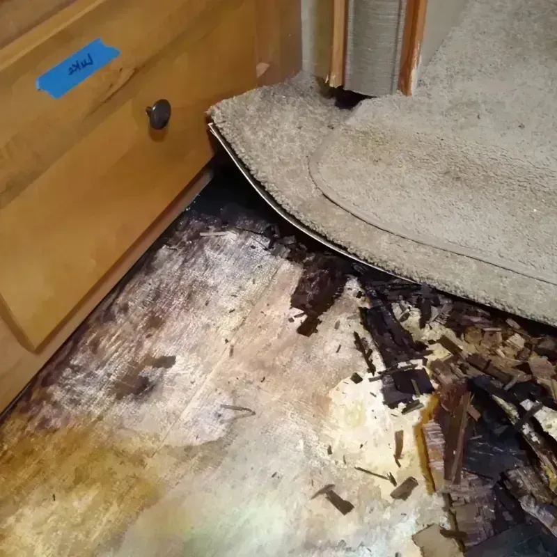 Best Wood Floor Water Damage Service in Danville, PA